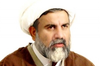 مصری فوج کا اپنی ہی عوام پر طاقت کا استعمال تاریخ کا بدترین واقعہ ہے، علامہ راجہ ناصر عباس جعفری