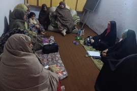 ایم ڈبلیوایم وومن ونگ لاہور کی سیکریٹری جنرل محترمہ حنا تقوی کا دورہ ملتان، خواتین کے وفود سے ملاقاتیں