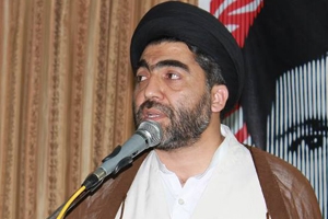 ایم ڈبلیوایم خیبر پختونخواکے سیکریٹری جنرل علامہ سبطین حسینی کا تین روزہ کامیاب دورہ ڈی آئی خان، ٹانک و لکی مروت