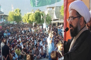 ہم دعوہ نہیں وعدہ کرتے ہیں کہ گلگت بلتستان کو آئینی خودمختاری دلانے کیلئے آخری حد تک جائیں گے،علامہ امین شہیدی