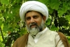 سنی شیعہ عوام نے تاریخ کا عظیم میلاد النبی ﷺمنا کر دشمنان دین کی سازشیں خاک کر دیں،علامہ راجہ ناصر عباس جعفری