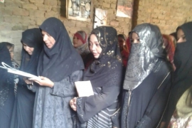 صوبہ سندھ کے ضلع ٹنڈوالہیار میں مجلس وحدت مسلمین شعبہ خواتین کے تحت ضلعی کابینہ کی تشکیل