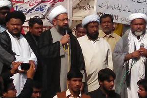 ہمیں پیسے نہیں اپنے عزیزوں کے قاتل اور ان کر سرپرست پھانسی کے پھندے پر چاہیئے ہیں ، علامہ امین شہیدی