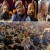 cache/resized/6fa43d2ac10db21ee2fc600b586cbdff.jpg