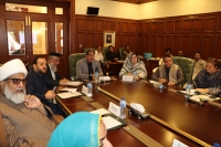 سربراہ ایم ڈبلیوایم سینیٹر علامہ راجہ ناصرعباس کی سینیٹ کی قائمہ کمیٹی برائے ہاؤسنگ اینڈ ورکس کے اجلاس میں شرکت