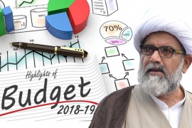 حکمران اپنے آخری سال میں بھی عوام کو ریلیف دینے میں ناکام رہے ،حالیہ بجٹ بھی سابقہ ادوار کی طرح مزدور کُش ہے،علامہ راجہ ناصرعباس