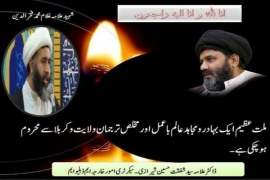 شہید منٰی فخرالدین کے چہلم کی مناسبت سے ڈاکٹر علامہ شفقت شیرازی کا پیغام