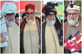 پورے پاکستان کی یکجہتی کی علامت : قائد وحدت علامہ راجہ ناصر عباس جعفری