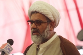 رائیونڈبم دھماکہ، سربراہ ایم ڈبلیوایم راجہ ناصرعباس کا قیمتی جانوں کے نقصان پر اظہار افسوس
