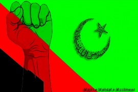 پورے ملک کی طرح مظفرگڑھ میں بھی مجلس وحدت مسلمین سیاسی میدان خالی نہیں چھوڑے گی، علی رضا طوری