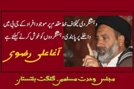 دہشتگردی کیخلاف خط مقدم پر موجود افراد کے جی بی میں داخلے پر پابندی دہشتگردوں کو خوش کرنے کیلئے ہے،آغا علی رضوی