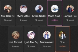 ایم ڈبلیو ایم جنوبی پنجاب کی ورکنگ کمیٹی کا پہلا آن لائن اجلاس، علامہ احمد اقبال رضوی اور اسد نقوی شریک