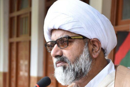 مسلم لیگ ن نے انجینئرڈ دھاندلی کی جس کے ثبوت پیش کرناآسان نہیں،علامہ راجہ ناصرعباس جعفری