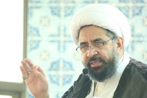 وزیر اعظم کا دورہ گلگت عوامی امنگوں کا ترجمان بننے کی بجائے مایوسی کا سبب بنا ہے، علامہ امین شہیدی