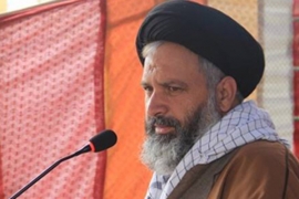 آل سعود کے اتحادی ممالک بھی آیت اللہ باقر النمر کی شہادت میں برابر کی شریک ہیں، آغا علی رضوی