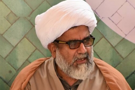 حکمران جماعت نے ممتاز قادری کی سزا پرعجلت کا مظاہرہ کر کے عوام کو ہیجانی کیفیت میں ڈال دیا ہے ،علامہ ناصرعباس جعفری