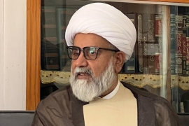 چیئرمین مجلس وحدت مسلمین پاکستان علامہ راجہ ناصرعباس جعفری نے جماعت میں نئے انتظامی سیٹ اپ کے قیام کا اعلان کردیا